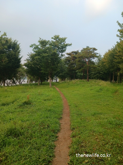 서울 맨발 걷기 좋은 장소 – 구리 암사대교 인근 잔디밭 속 흙길 맨발 걷기 장소의 전경