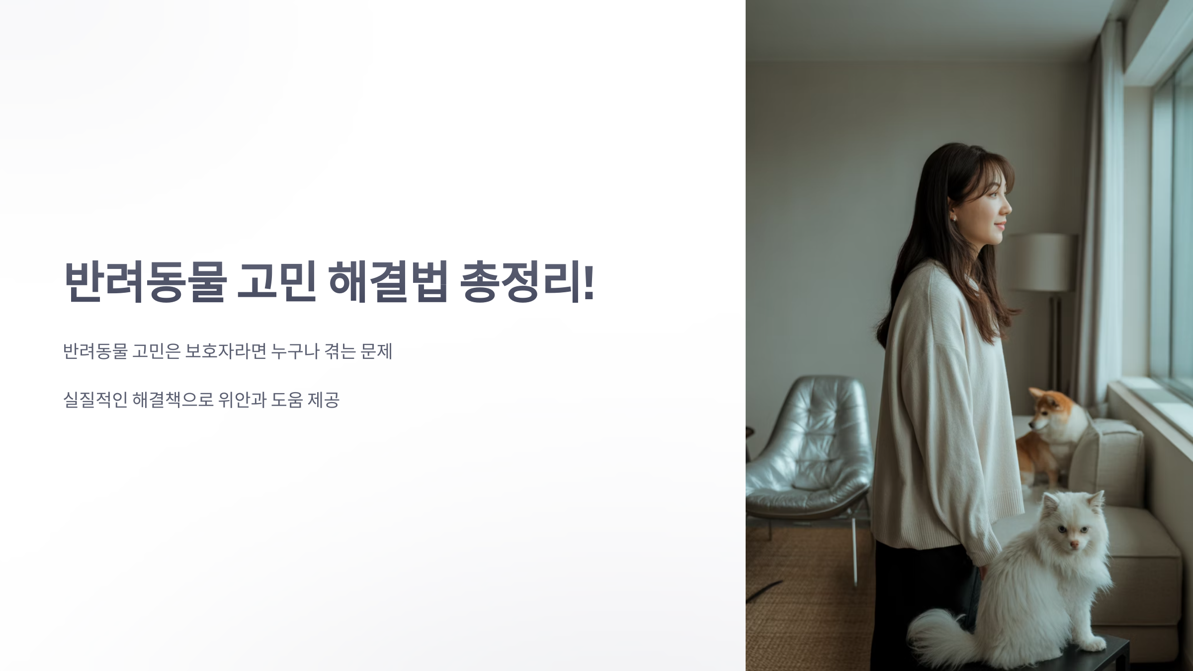 참조-반려동물-고민-1