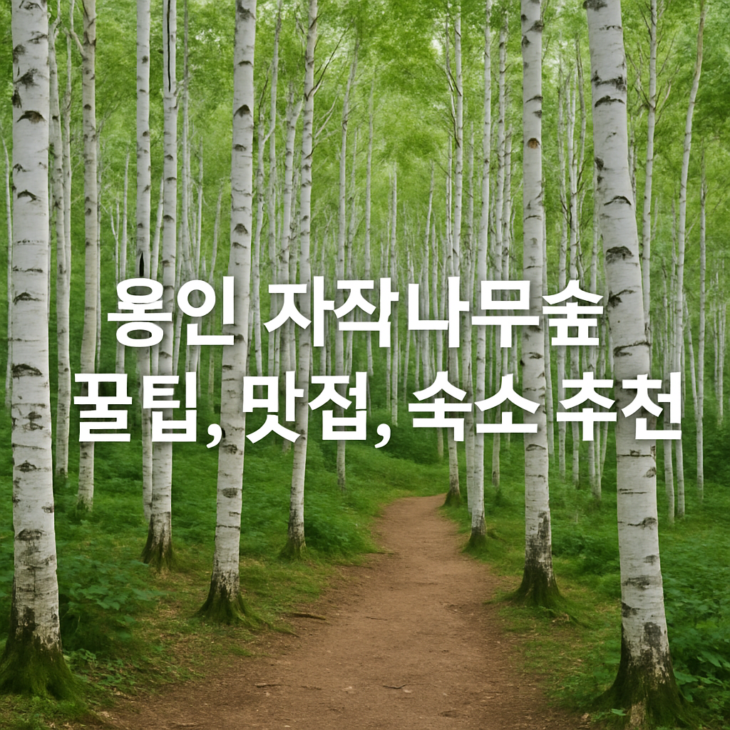 용인 자작나무 숲
꿀팁, 맛집,숙소 추천 썸네일 사진
