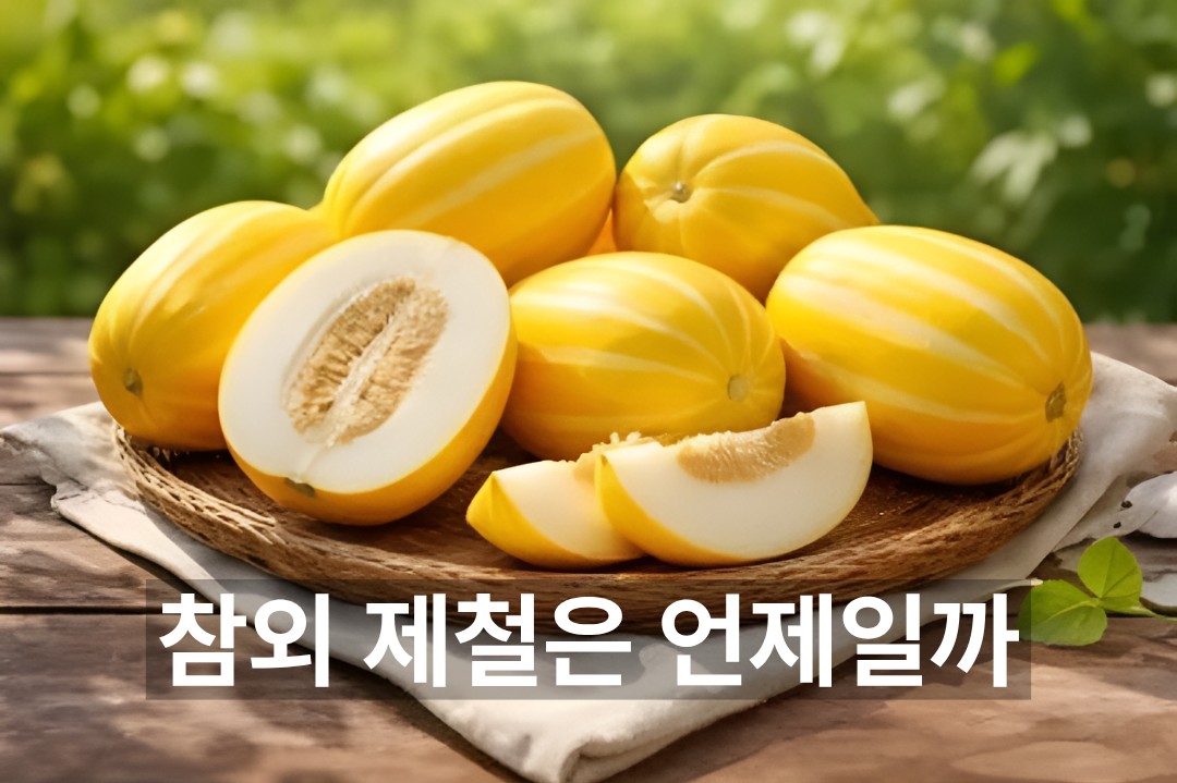 초여름 분위기 속 참외 제철 이미지를 보여주는 대표 사진