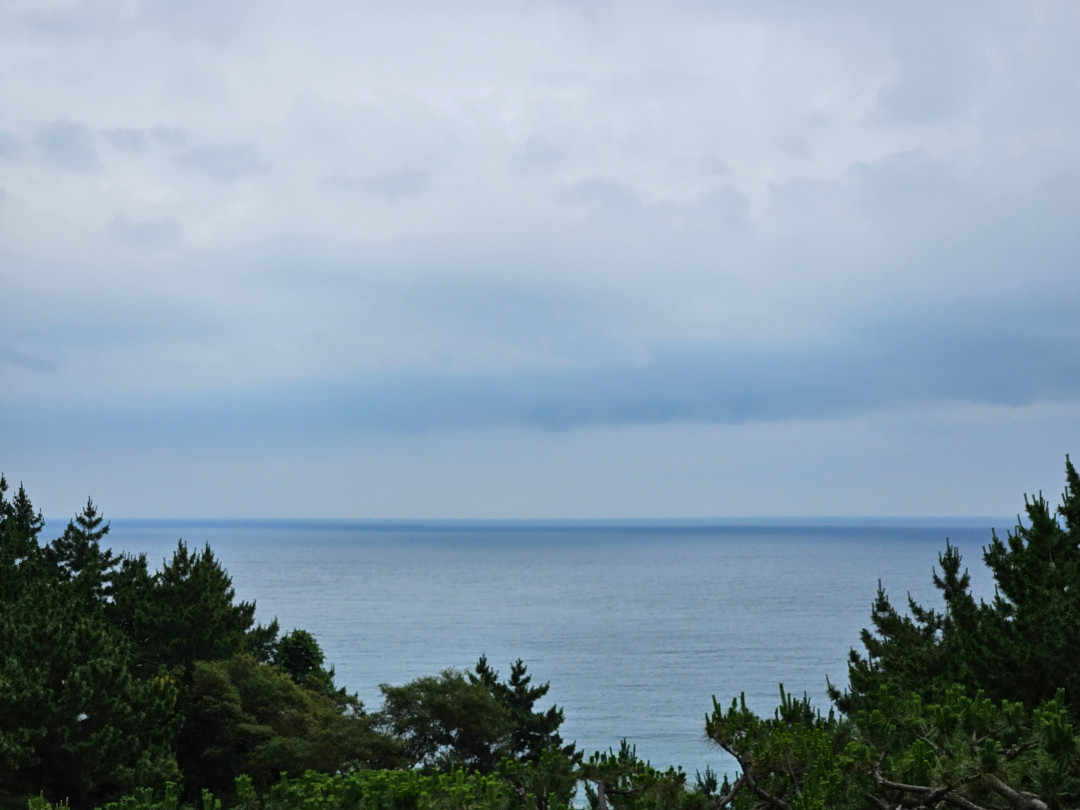 신라호텔 수영장 View