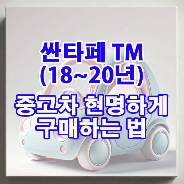 현대 싼타페 TM(18~20년) 중고차 현명하게 구매하는 법