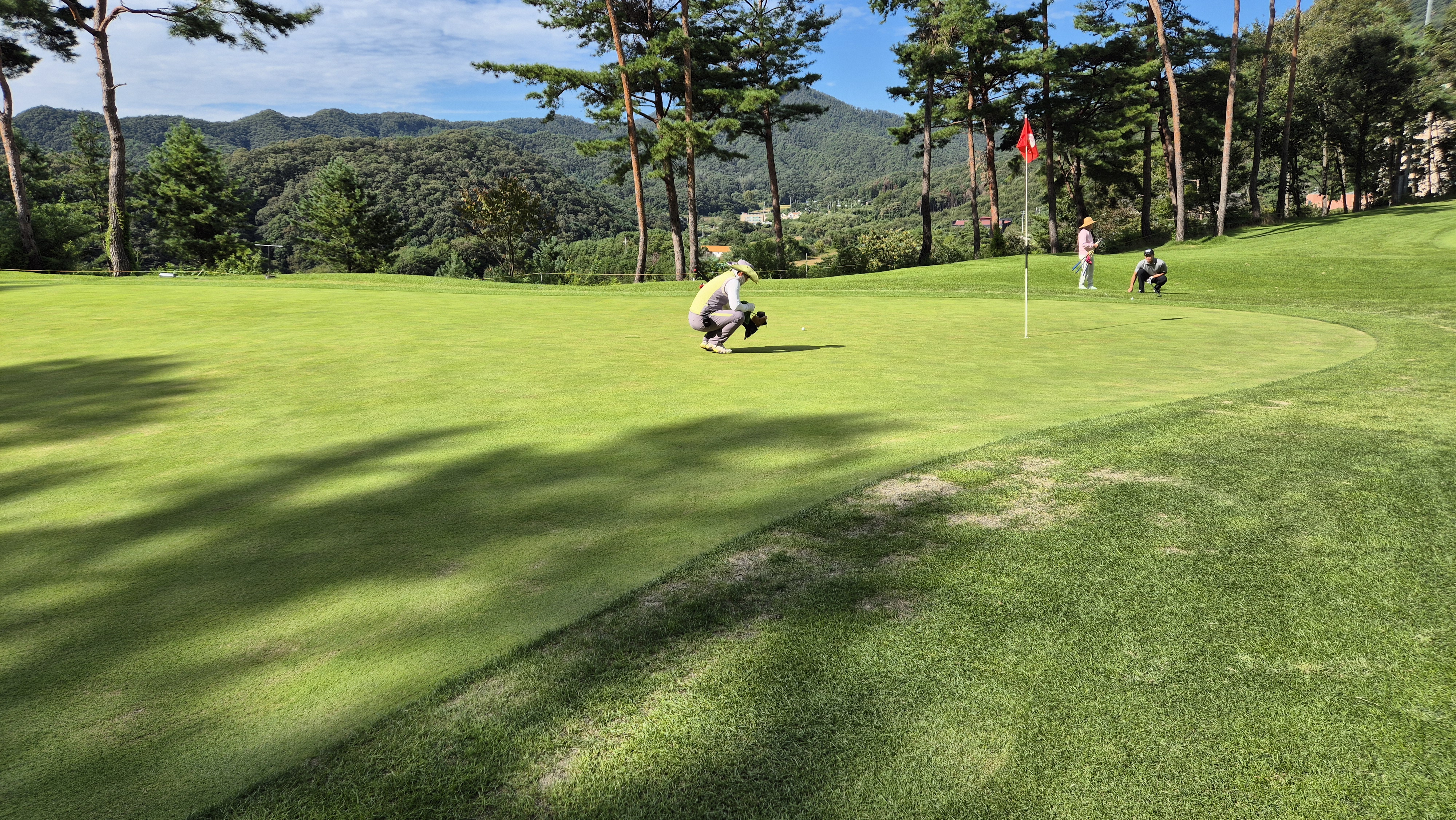 오크힐스cc 그린 관리 상태