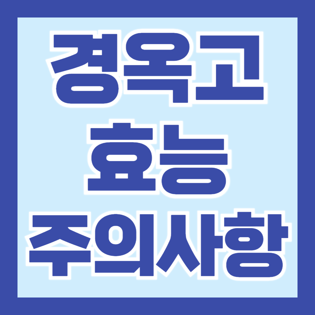 경옥고-효능