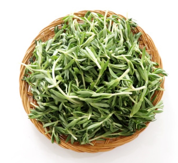 대나무로 만든 소쿠리에 들에서 채취를 한 돌나물을 깨끗이 씻어 잘 손질해서 수북하게 쌓아놓은 사진