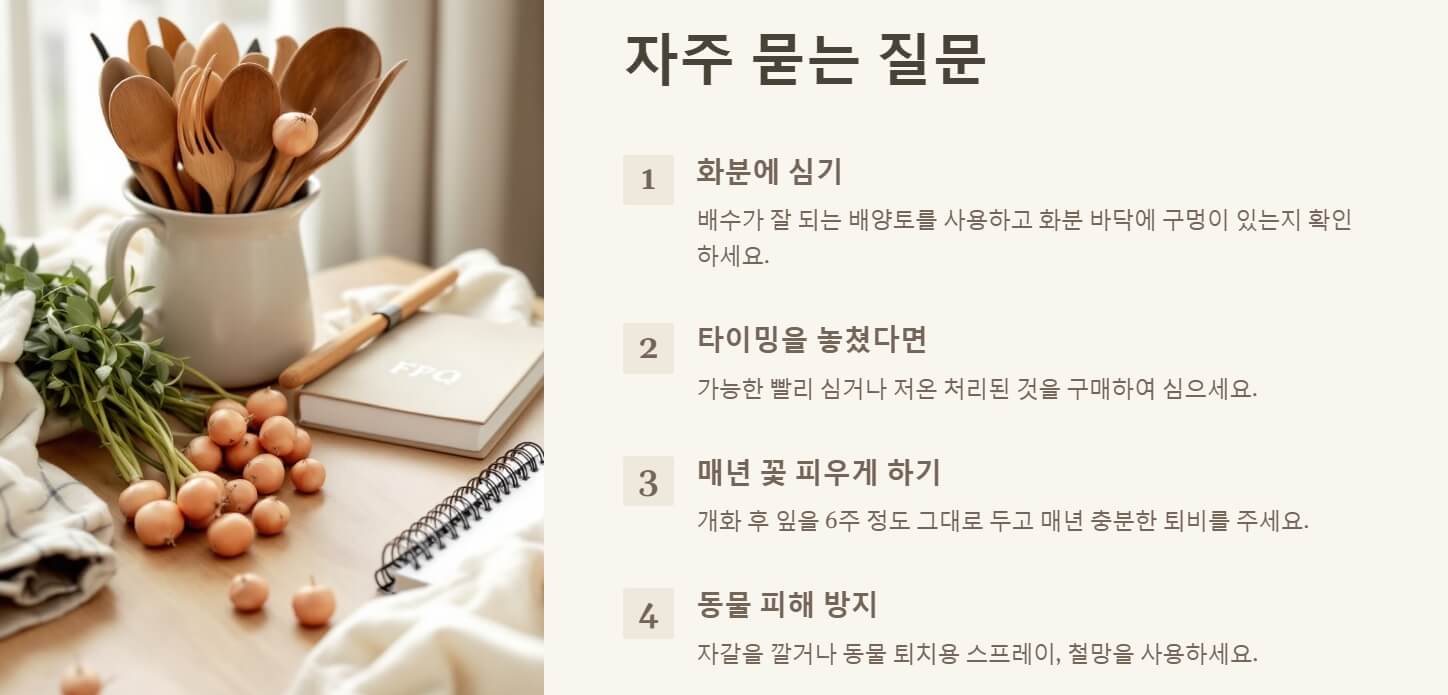 구근 심는 시기 및 방법