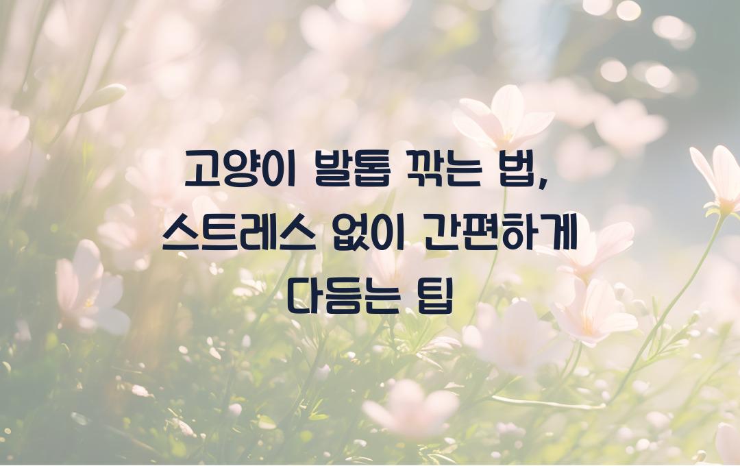 고양이 발톱 깎는 법, 스트레스 없이 안전하게 다듬는 방법