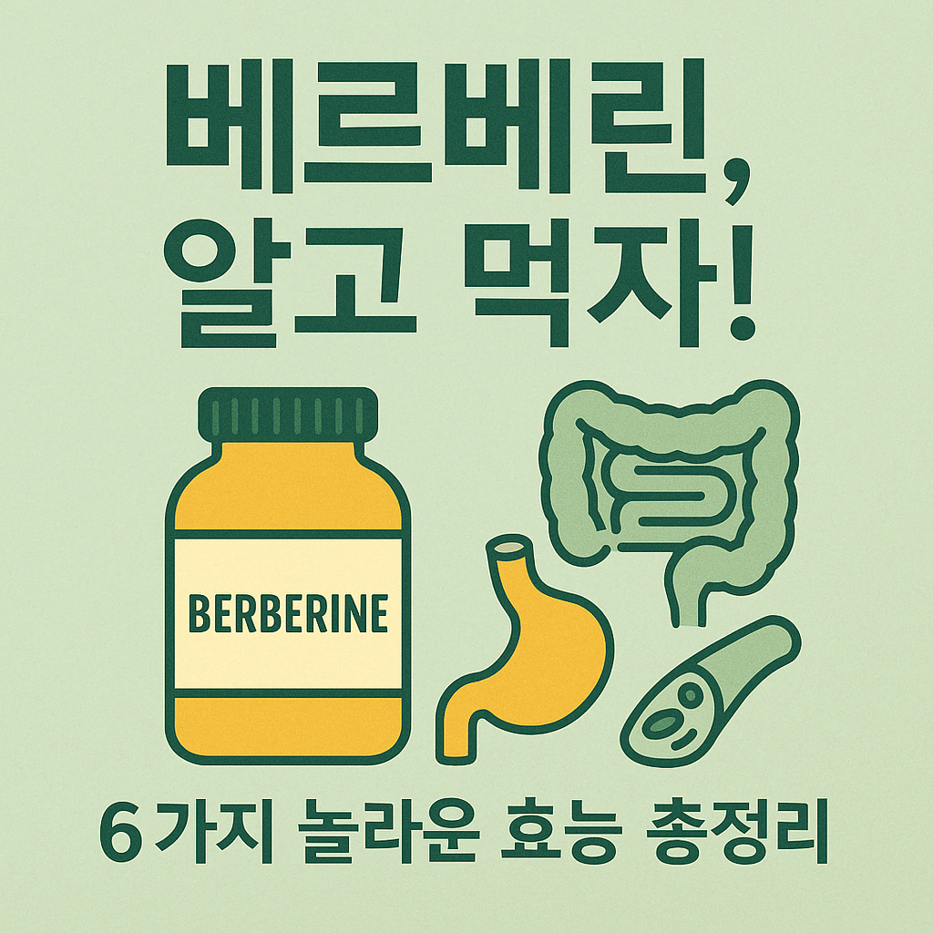 베르베린 효능 총정리: 당신이 몰랐던 6가지 효과