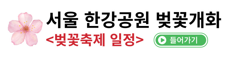 서울 한강공원 벚꽃축제