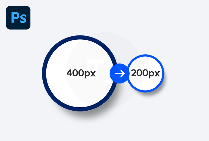 원형 두개 비교