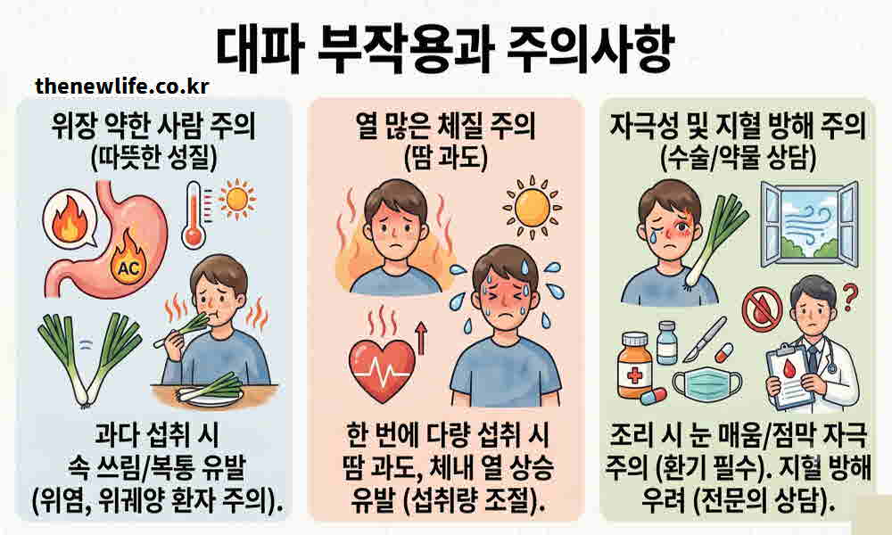 대파 효능 부작용