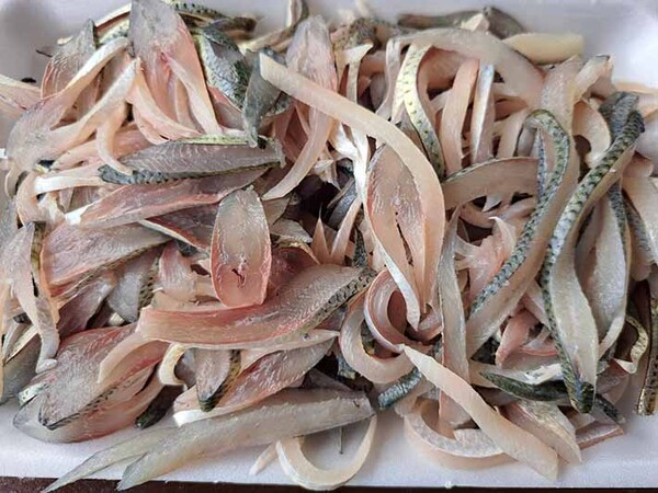 전어 효능 및 부작용