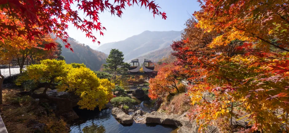 화담숲 가을 단풍축제 전경
