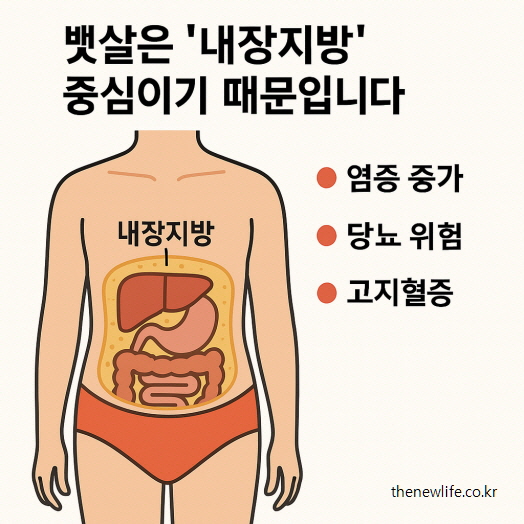 복부 내장지방을 보여주는 인체 그림과 ‘염증 증가, 당뇨 위험, 고지혈증’ 등의 문제를 나타낸 건강 정보 인포그래픽/ “왜 뱃살만 안 빠질까? 대답은 – ‘내장지방’ 때문입니다 설명을 위한 이미지