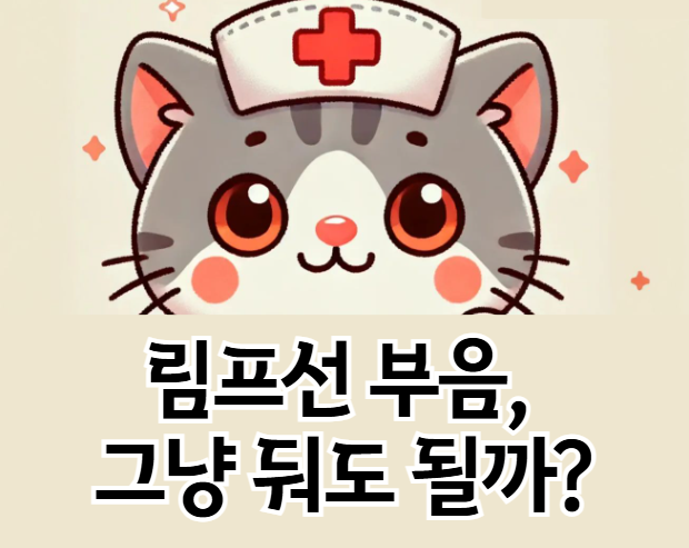 림프선 부음 이유, 감기 때문일까? 다른 질환 신호일까?