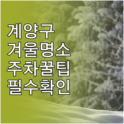 인천 계양구 겨울철 주요 명소 5곳 ..