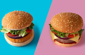 이상형월드컵 게임 무료 사이트