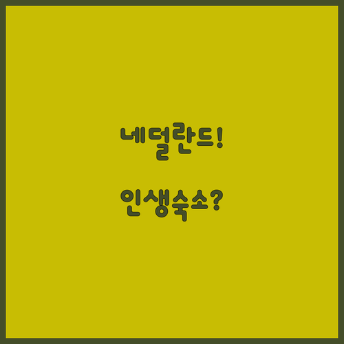 네덜란드 운하 옆에서 눈뜰까 국립공원..