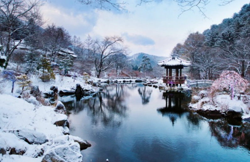 국내 겨울 여행지 추천