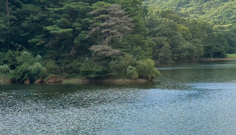 양산 법기수원지