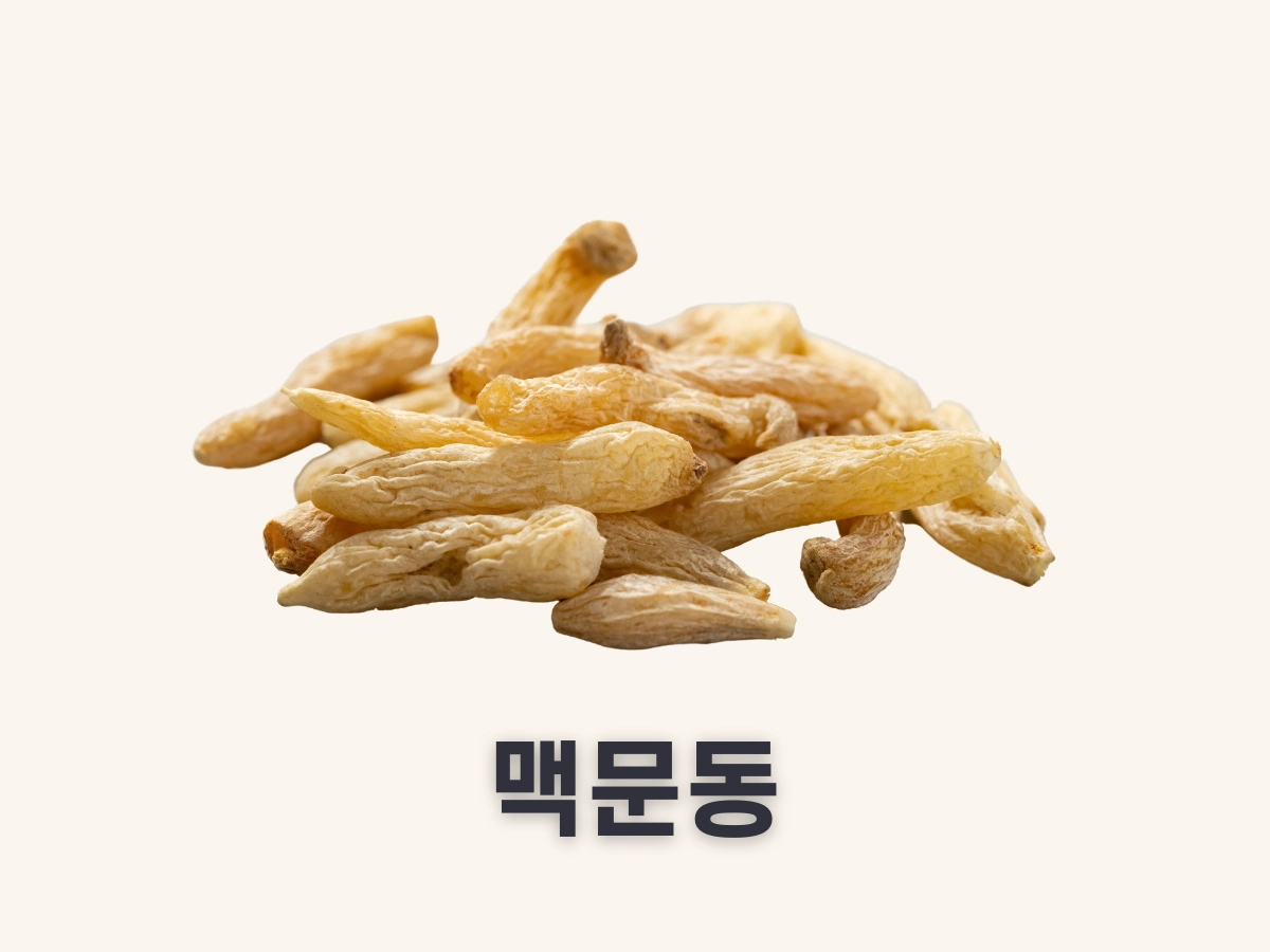 맥문동