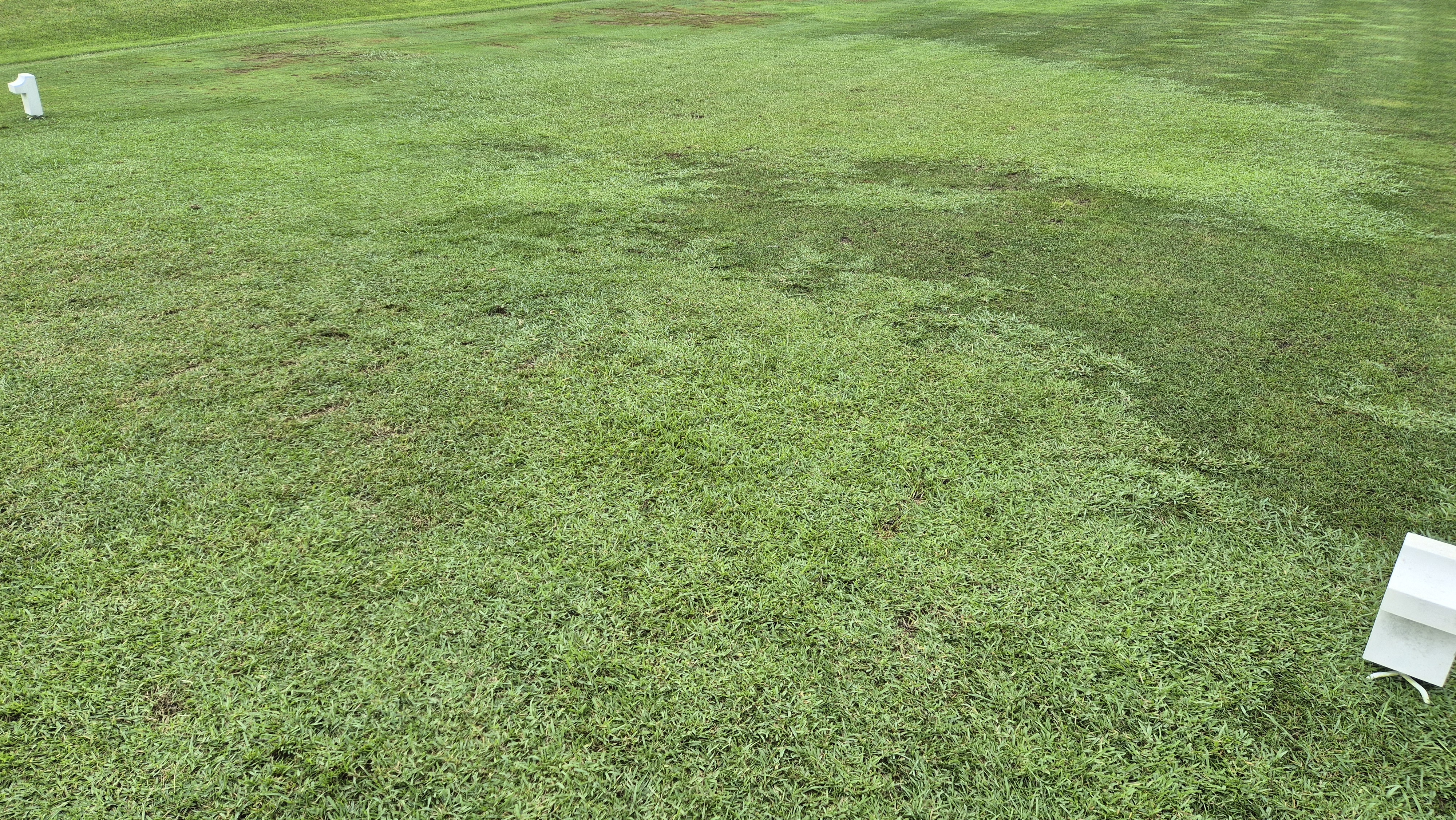 골프존카운티 진천