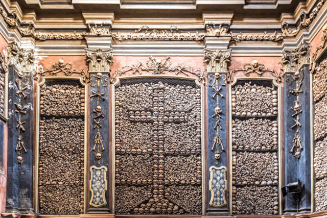 화장 vs 수목장 vs 액화장, 환경 영향 비교 리포트