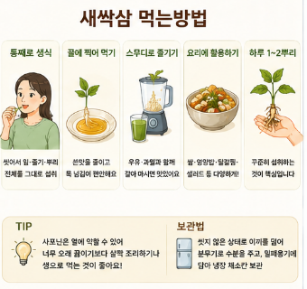 새싹삼-효능-먹는방법-요리-종류-아기-임산부