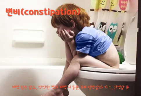 변비(constipation)
변비 주요 증상 : 배변 횟수 감소, 딱딱한 변과 배변 시 통증, 복부 팽만감과 가스, 잔변감 등