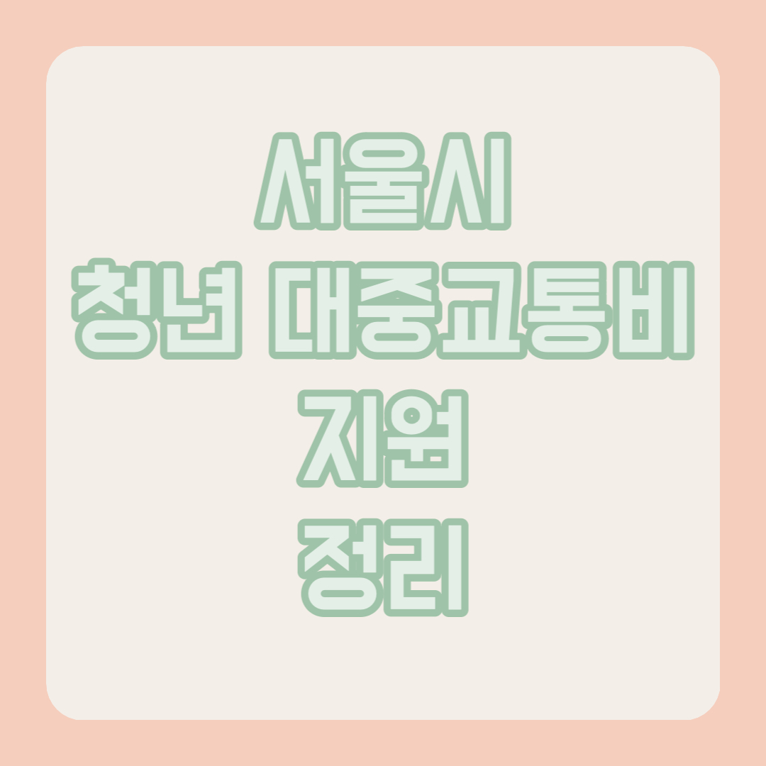 청년 대중 교통비 지원