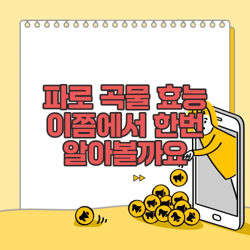 파로 곡물 효능 이쯤에서 한번 알아볼까요
