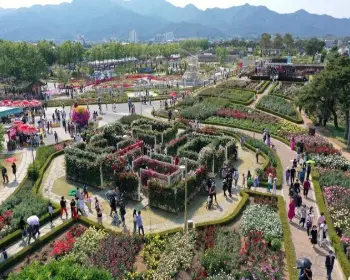 곡성 장미축제_11