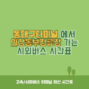 동대구터미널에서 안강동부정류장 가는 시외버스 시간표 최신정보