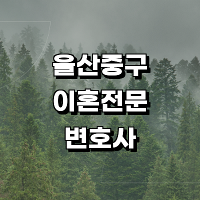 울산 중구 이혼 변호사