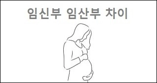임신부 임산부 차이