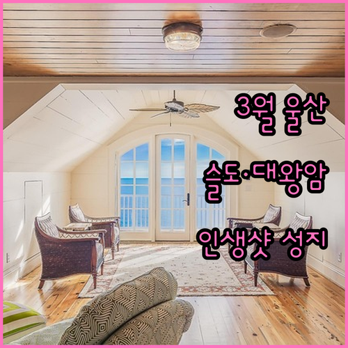 울산 동구 3월 여행지 추천 슬도 대..