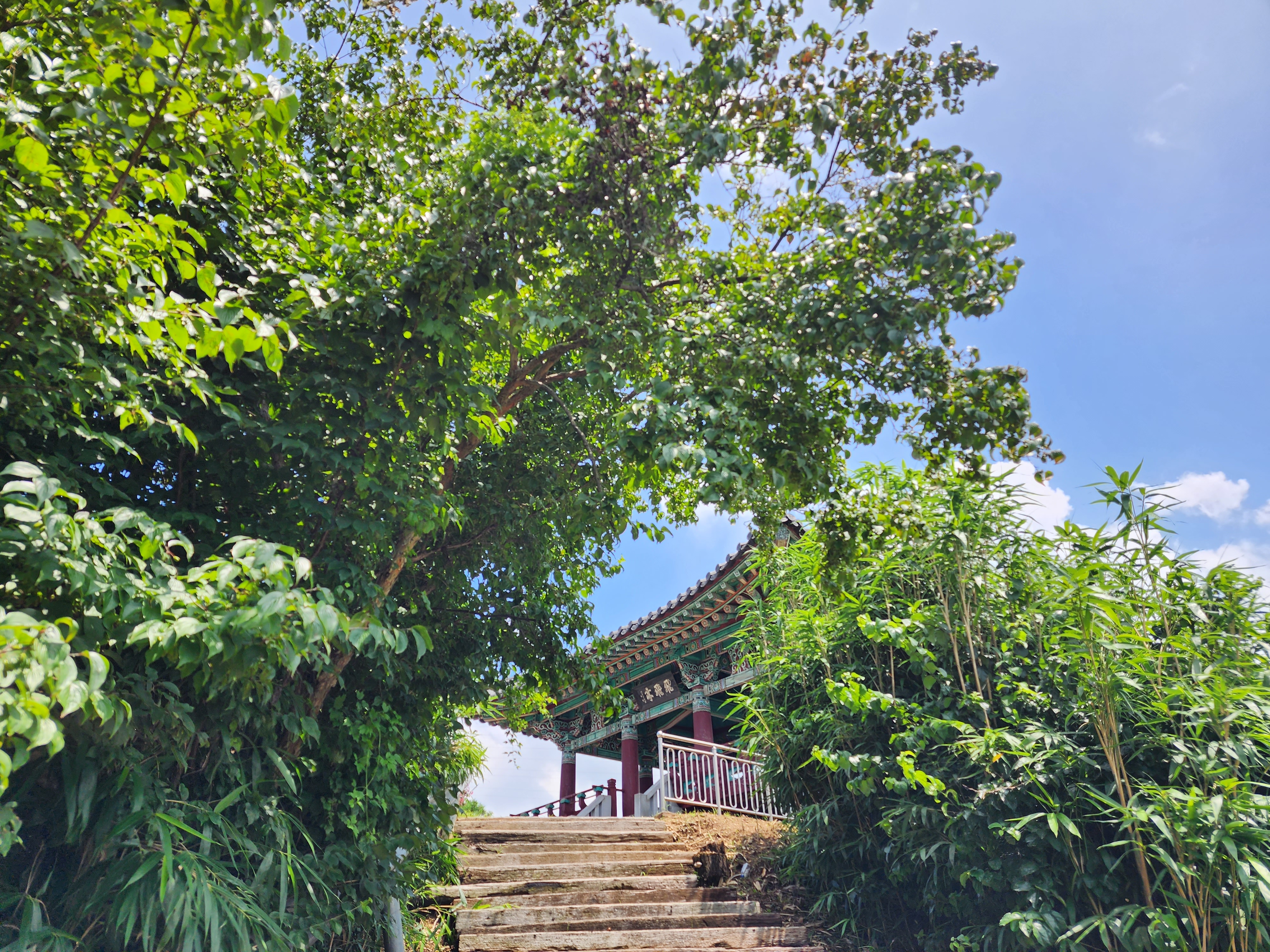 비비정(飛飛亭)