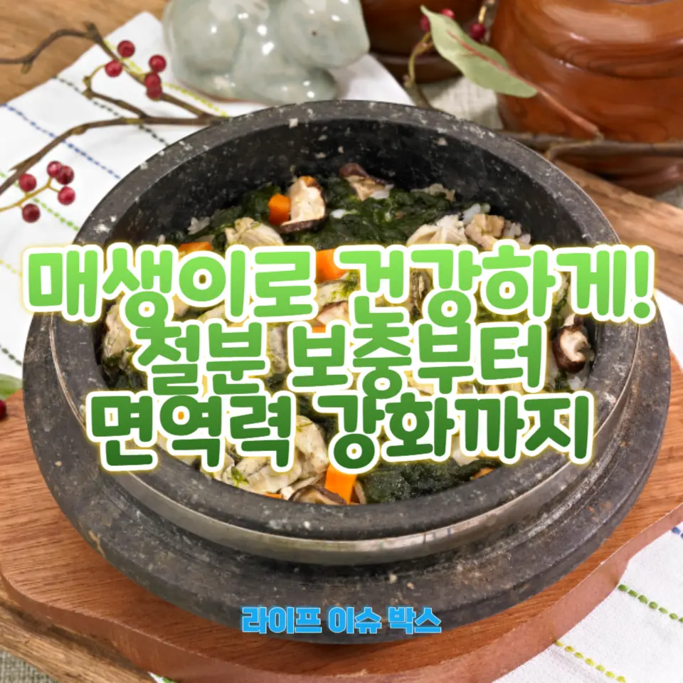 매생이 놀라운 건강 효능