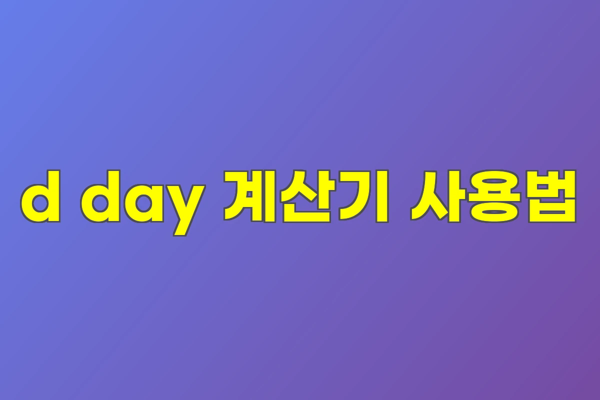 d day 계산기 사용법