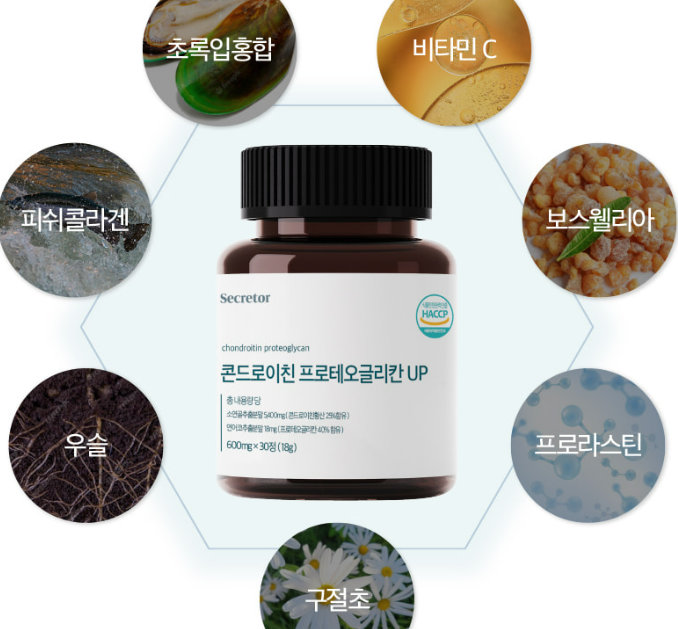 시크리터 콘드로이친 가격 및 구매정보