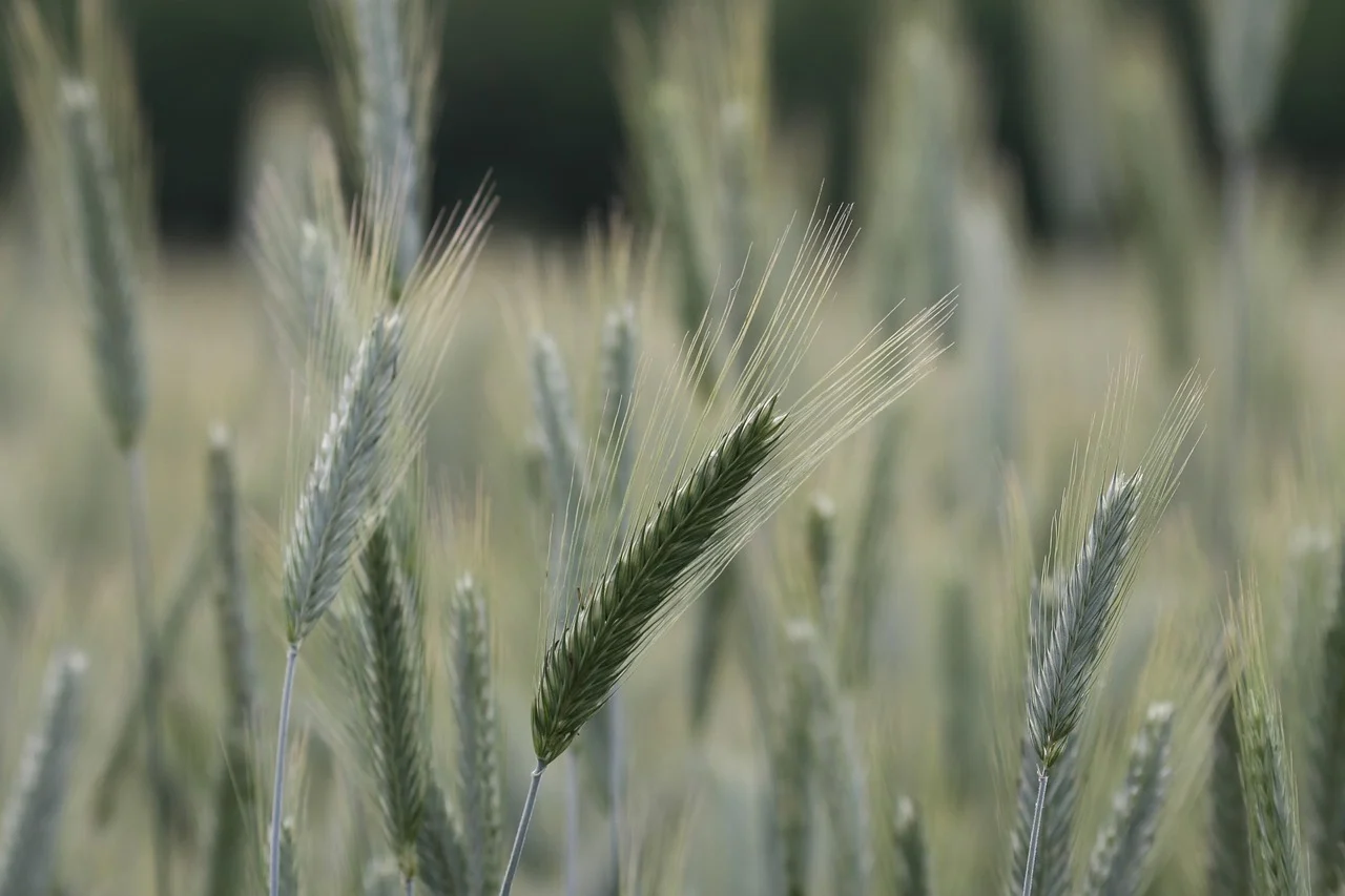 금 통장 만드는 방법