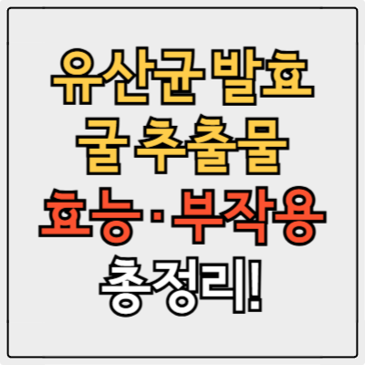 유산균 발효 굴 추출물 효능 총정리, 부작용 없이 먹는 법