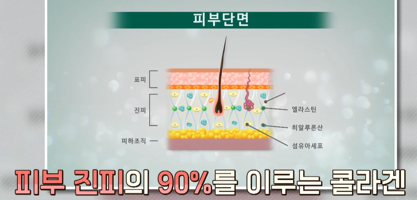 비오틴 효능