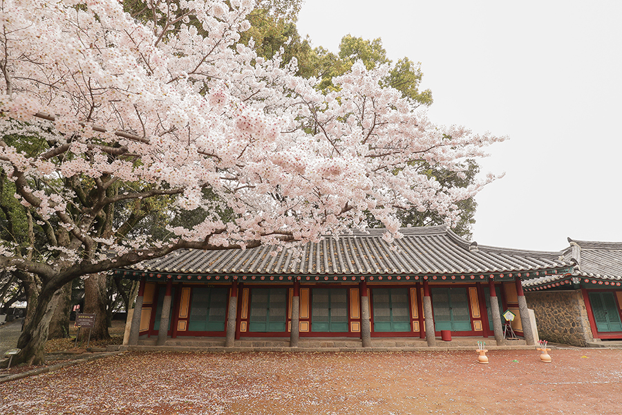 제주 삼성혈