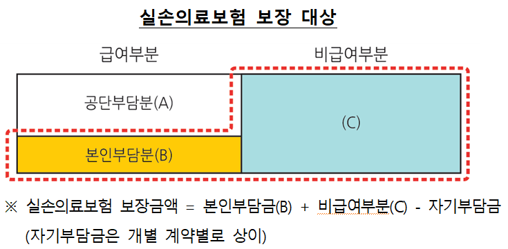실손의료보험 보장대상