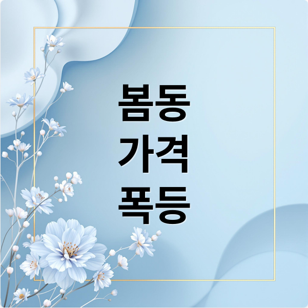 봄동 가격 폭등