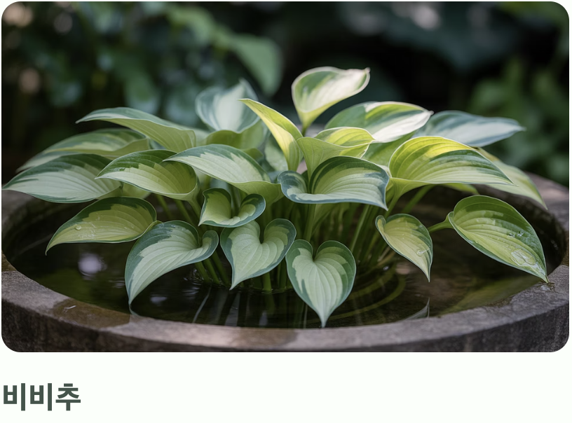 가장 쉬운 구별법&amp;#44; &amp;#39;잎 모양&amp;#39;을 보세요