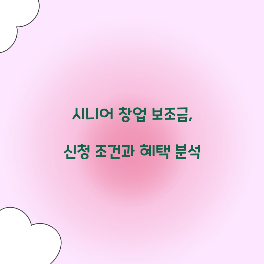 시니어 창업 보조금