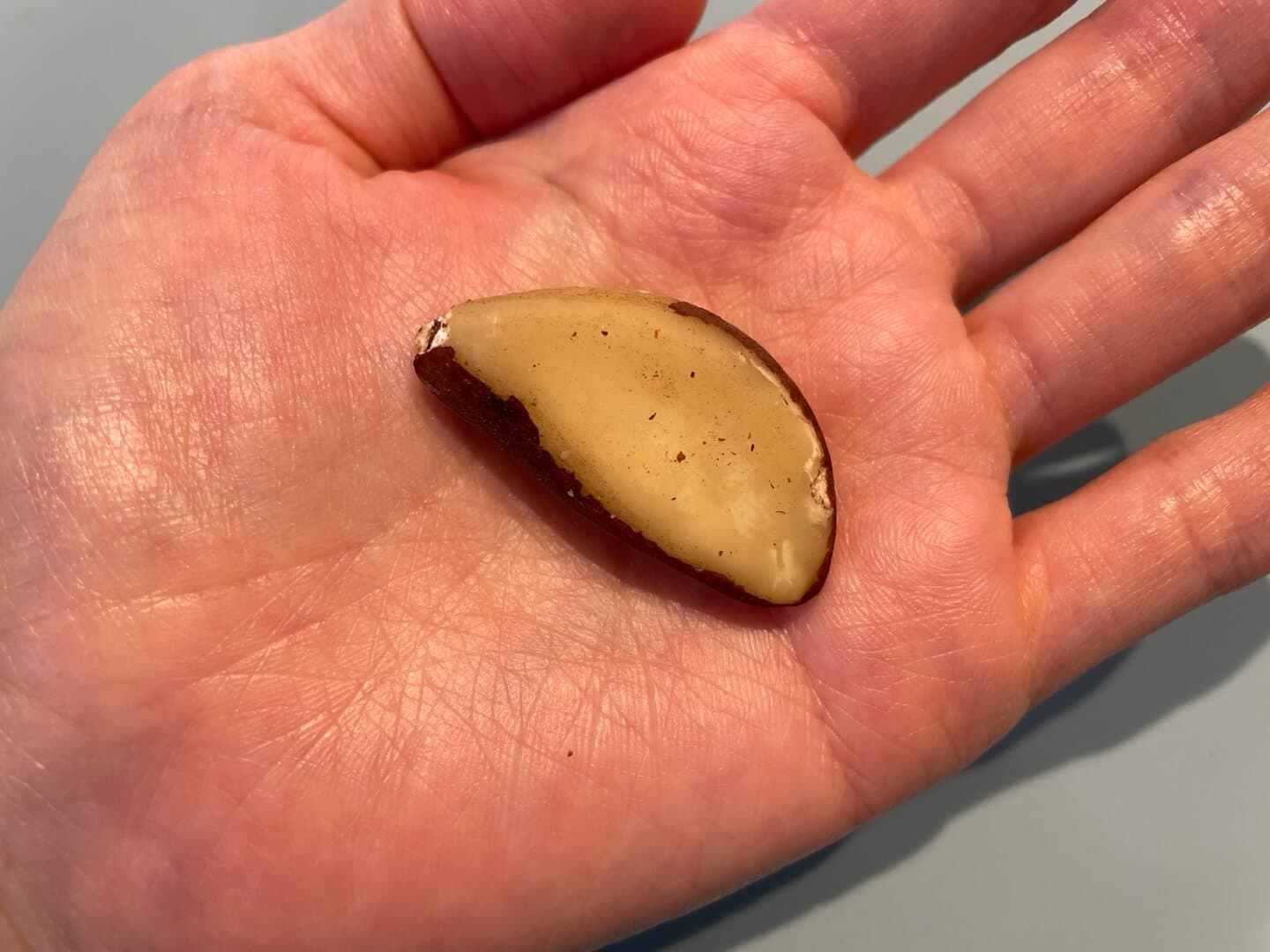 브라질너트 섭취 후기 - 중간 알