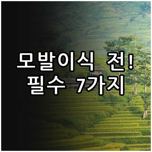 모발이식 전 반드시 알아야 할 준비사..